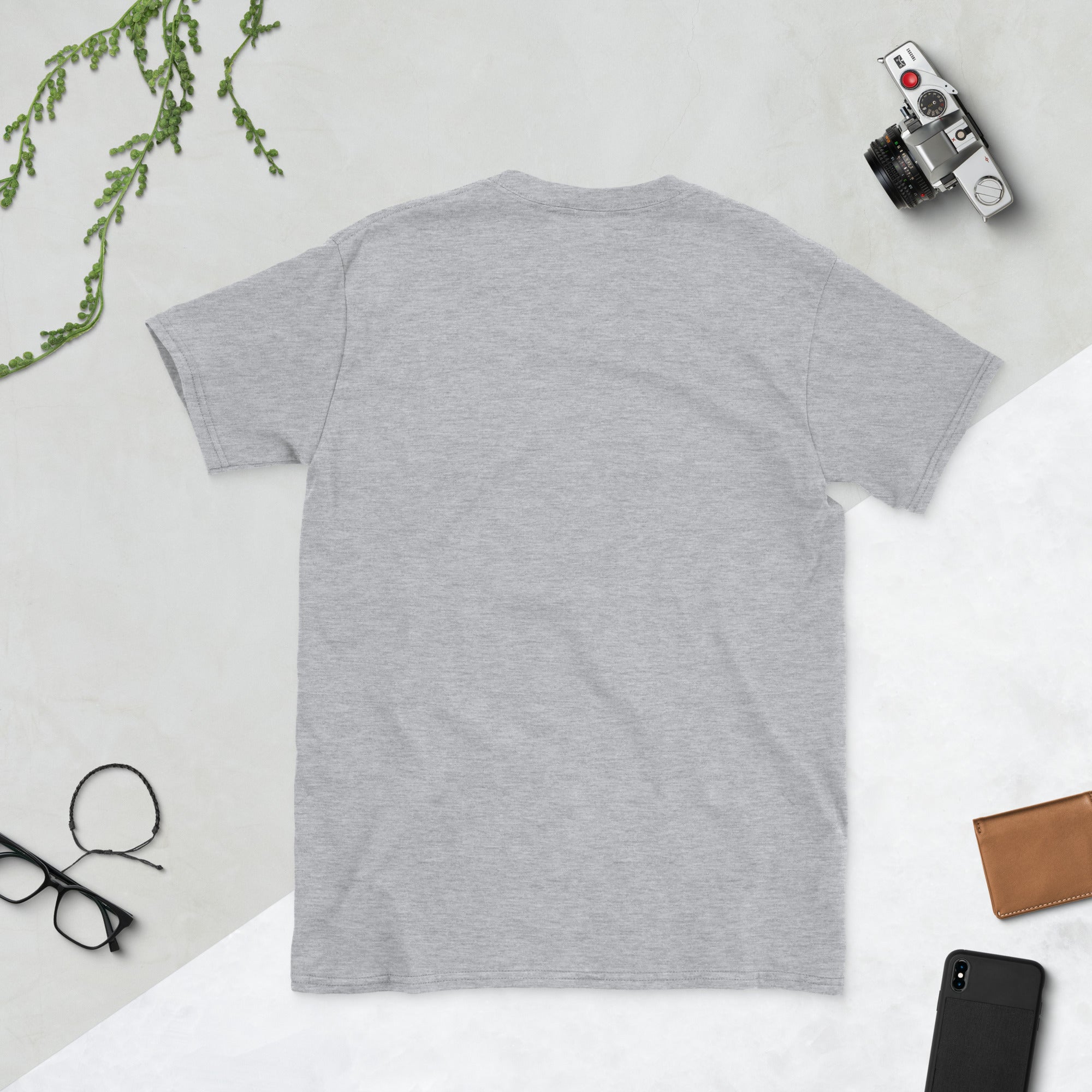 Unisex T-Shirt con maniche corte, grigio melange, vista posteriore liscia